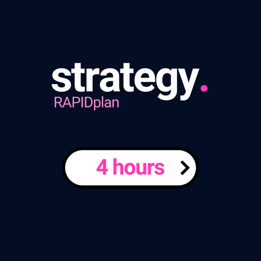 RAPIDplan Half Day Strategy Session